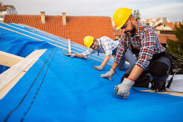 Roof Gutter Cleaning in Enid, OK
