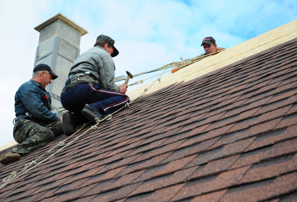 Best Metal Roofing Contractor  in Enid, OK